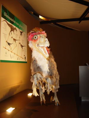 museo jurasico,muja,casas de aldea rurales,casa rural , museo jurasico,muja,casas de aldea,rurales,casa rural